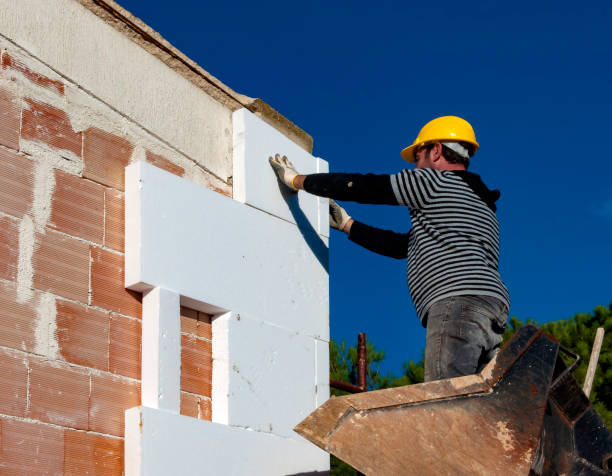 Best Eco-Friendly Insulation in Roswell, GA