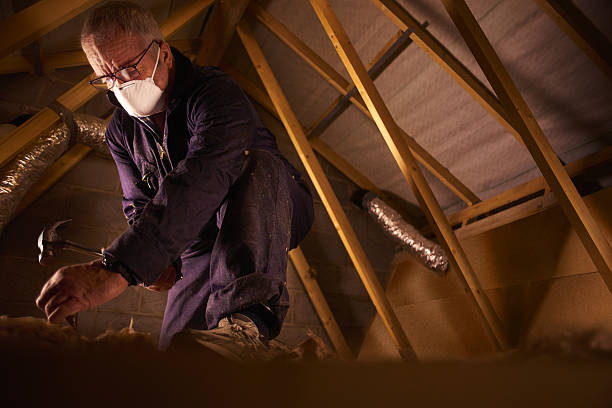 Types of Insulation We Offer in Roswell, GA