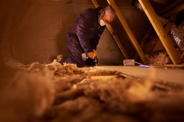 Best Residential Insulation in Roswell, GA