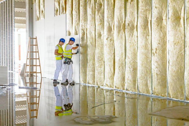Best Specialized Insulation Services in Roswell, GA